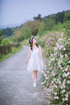 破茧电视剧免费观看